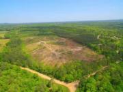 b ROKEN BOW CREEK TRAIL, BISMARCK, AR 71929 Vacant Land...