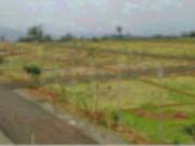 USM Go Ranch,Bachannapet Residential Plot For Sale Hyderabad