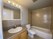 Bachelor Dorset Arms