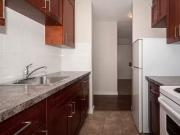 Bachelor Edmonton Pet Friendly Apartment For Rent Downtown.
