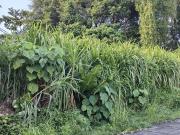 Bacolod City Lot for sale
