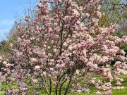 BADEN NÄHE VILLA AUF 2500 m² IN TOPRUHELAGE MIT HIGH...