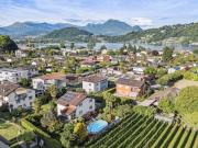 BADEOASIS MIT PALMEN UND POOL