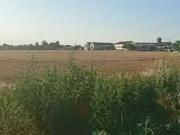 Bâgé Dommartin 01380 Programme neuf terrain neuf à vendre