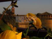 Appartamento con vista sulla Rocca di Bagnara di Romagna