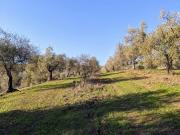 BAGNO DI GAVORRANO 360000mq