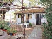 BAGNO ROSELLE bilocale 55mq