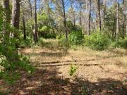 Bagnols en Forêt Vente Terrain 83