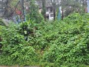 BAGUIO Residential Lot 300 sq.m. near the SLU Bakakeng...