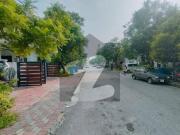 Bahria Enclave Sector B1 5 Marla Street 29/1 Develop...