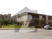 Bahria Paradise 500 Sq Yard Villa Available For Rent...