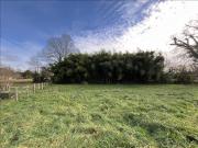 Baigneaux Vente Terrain 33