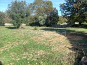 Baita/chalet/trullo in vendita a Locorotondo