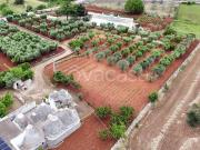 Baita/chalet/trullo in vendita a Martina Franca strada...