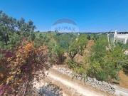 Baita/chalet/trullo in vendita a Ostuni