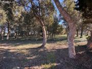 BAIX EMPORDÀ, PALAFRUGELL, MAS BAIX EMPORDÀ, PALAFRUGELL, MAS