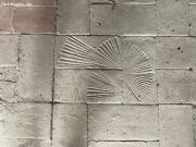 BAIX EMPORDÀ, VERGES, CASA