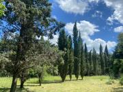 BAJO DE PRECIO ! 2.4 Ha para Loteo desarrollo en Pilar Pilar