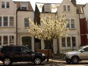 Balham Bright And Sunny Studio Flat