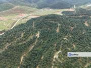 Baling Tawar Land For Oil Palm 73 HA Agricultural Land For