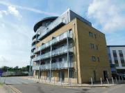 Ballantyne Drive, Colchester, Essex CO2, 1 bed flat to...