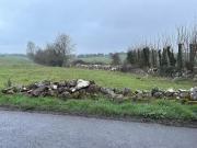 Ballingirlough, Bruff, Co. Limerick is for sale