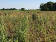 Ballon Vente Terrain 17