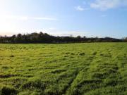 Ballybought, Durrow, Tullamore, Co. Offaly is for sale