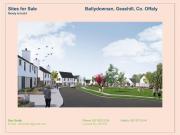 Ballydownan, Geashill, Offaly Dan Scally Auctioneers...