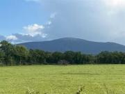 Ballynagrane C.1 Acre Site, Borris, County Carlow