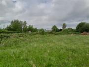 Ballynoe, Conna near, Fermoy, Cork Michael Dorgan...