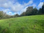 Ballynultagh 1.8 Acre Site, Shillelagh, County Wexford