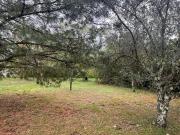 BALMA Terrain à bâtir