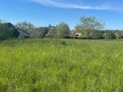 Balma Vente Terrain 31