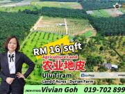 Ban Foo Ulu Tiram 7 Acres Agriculture Land For