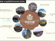 Banawe Condo CITIC Tower