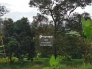 Bandar Bestari Perdana