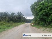 Bandar Seri Perani Kota Tinggi