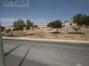 Bangalos 2 Dormitorio Orihuela Orihuela ES95878629