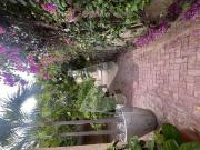 Bangalow Available For Sale At Dha Phase 8 First Belt...