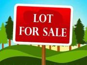 Bank Foreclosed Property ALSEA SUBDIVISION, ROAD LOT 3,...