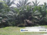 Agricultural land in industrial zoning plan in Banting