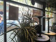 Bar en alquiler en travesía De Gràcia, Barcelona, de 65... Bar en alquiler en travesía De Gràcia, Barcelona, de 65...