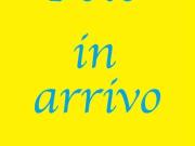 Bar in affitto a Reggio Emilia