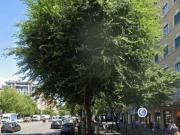 Bar in vendita a Roma