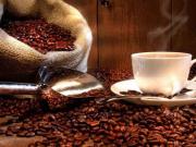 Bar in vendita a Torino