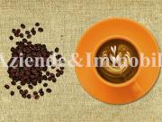 Bar Tavola Fredda trilocale 250mq Bar Tavola Fredda trilocale 250mq