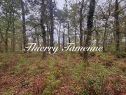 Barbaste Vente Terrain 47