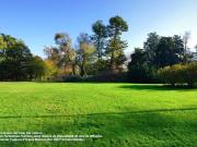 Barbizon Vente Terrain 77