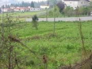 Barcelos Barcelos 93921265